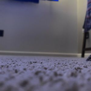 Meet your Posher, Cheyenne